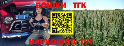 индика Будённовск