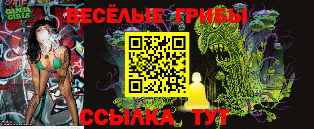 Галлюциногенные грибы GOLDEN TEACHER Озёрск