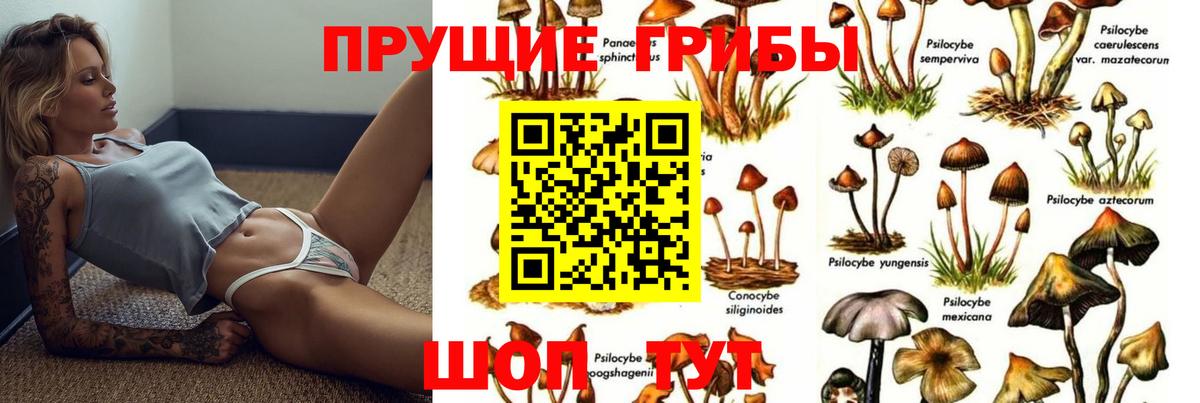 Озёрск  Героин  ТГК  Каннабис  Меф МЯУ МЯУ кристаллы  ГАШ  Мефедрон  АМФ кристаллы  Вход с VPN  МЕТАДОН  Кокаин 