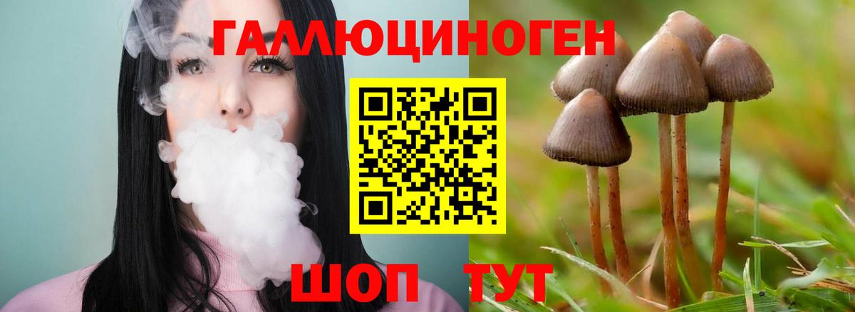 Галлюциногенные грибы мухоморы  купить закладку  Вход с VPN  Озёрск  Псилоцибиновые грибы прущие грибы 