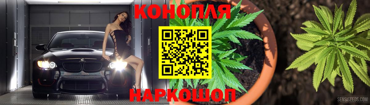 Шишки марихуана семена  Вход с VPN  Озёрск  Бошки Шишки конопля  Бошки марихуана сатива 